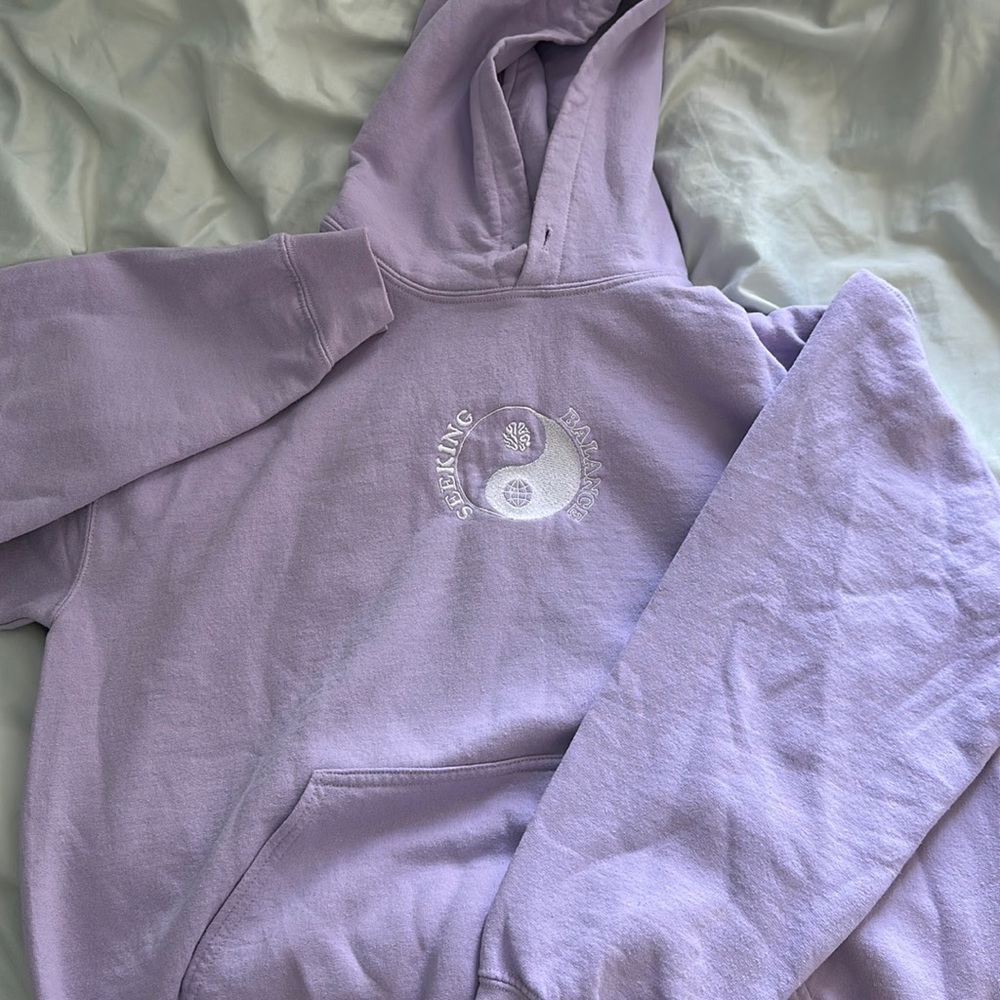 Seeking Balance Pacsun Hoodie
